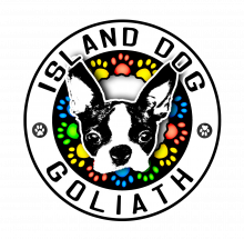Island dog